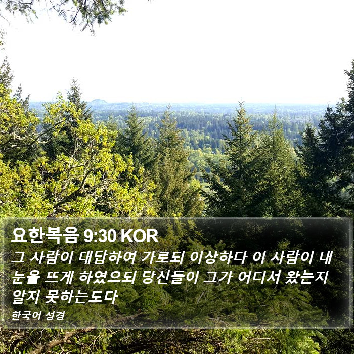 요한복음 9:30 KOR Bible Study