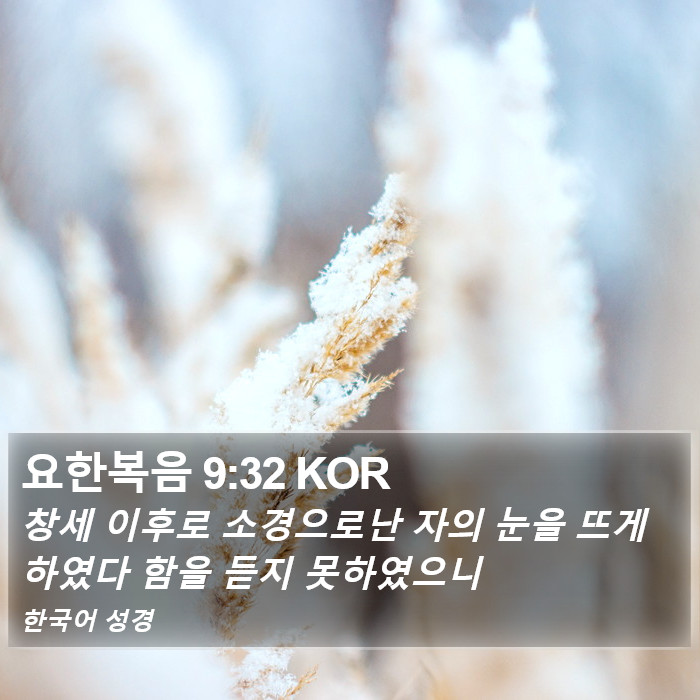 요한복음 9:32 KOR Bible Study