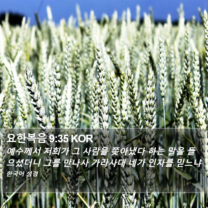 요한복음 9:35 KOR Bible Study