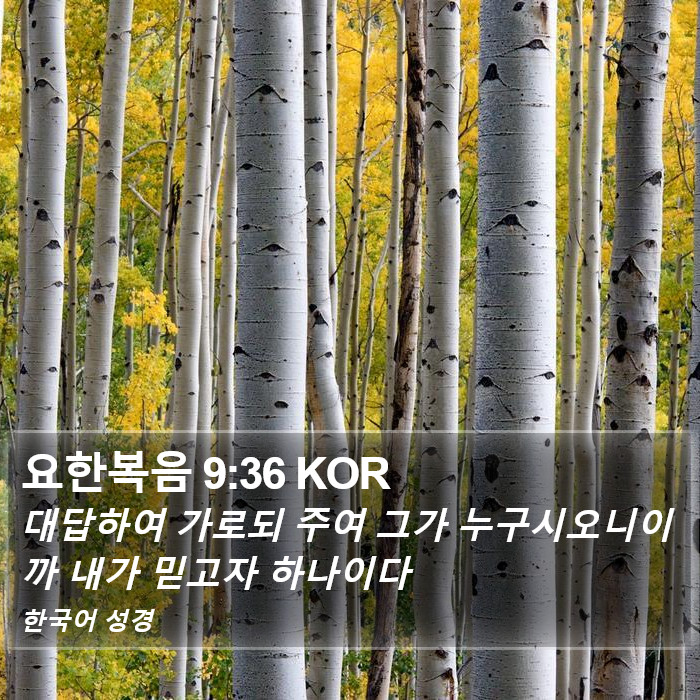 요한복음 9:36 KOR Bible Study