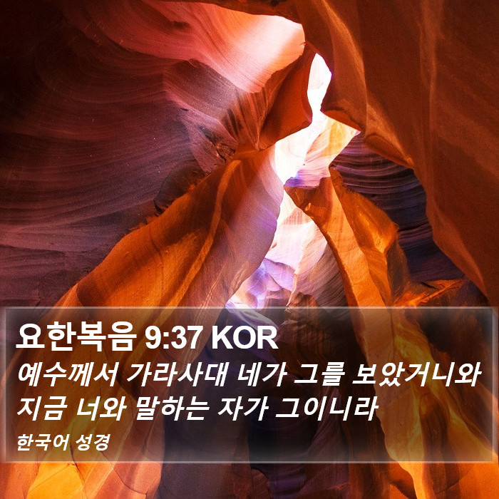 요한복음 9:37 KOR Bible Study