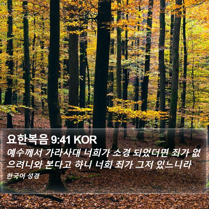 요한복음 9:41 KOR Bible Study