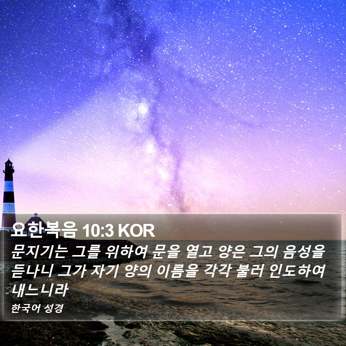 요한복음 10:3 KOR Bible Study