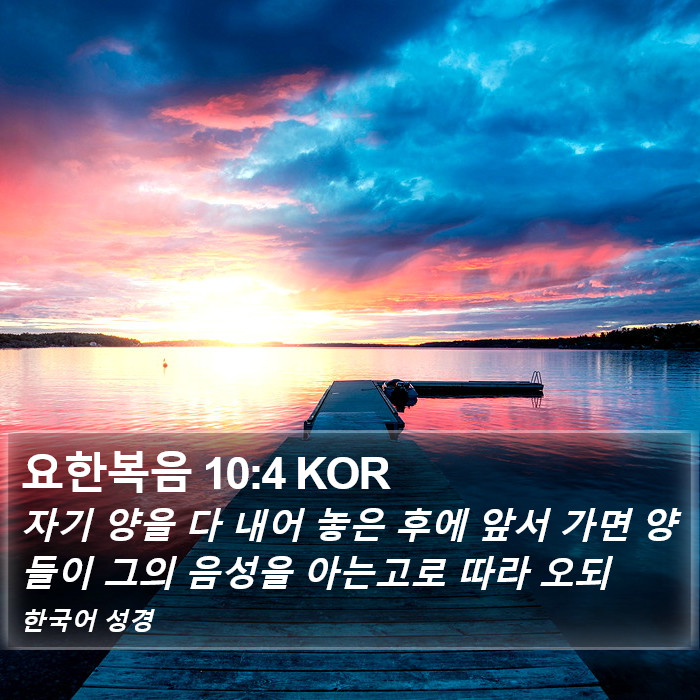 요한복음 10:4 KOR Bible Study