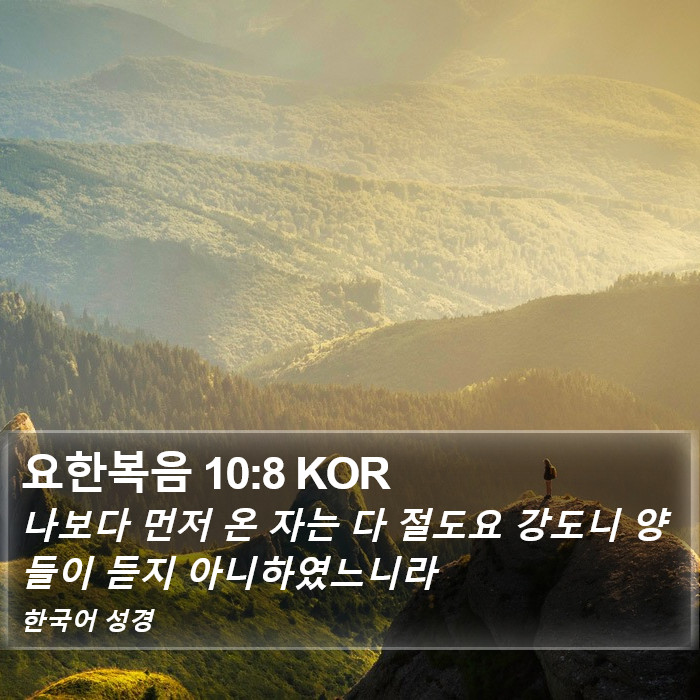 요한복음 10:8 KOR Bible Study