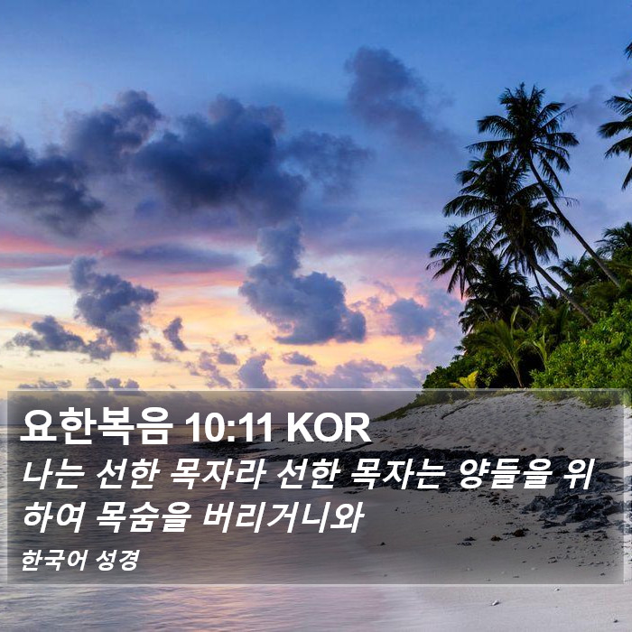 요한복음 10:11 KOR Bible Study