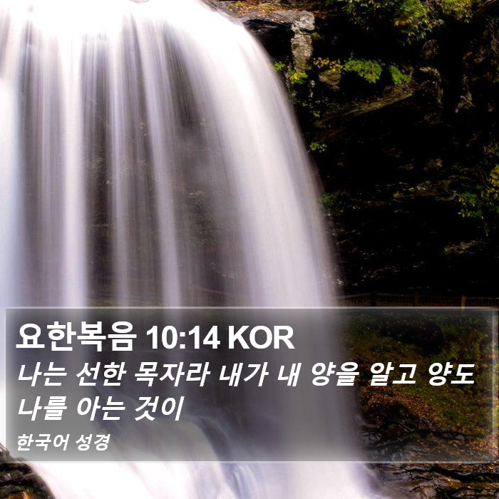 요한복음 10:14 KOR Bible Study