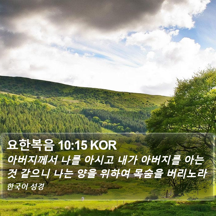 요한복음 10:15 KOR Bible Study