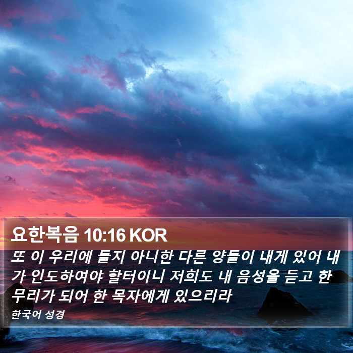 요한복음 10:16 KOR Bible Study