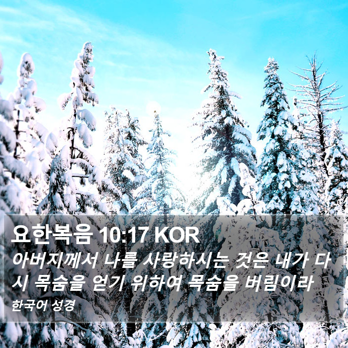 요한복음 10:17 KOR Bible Study