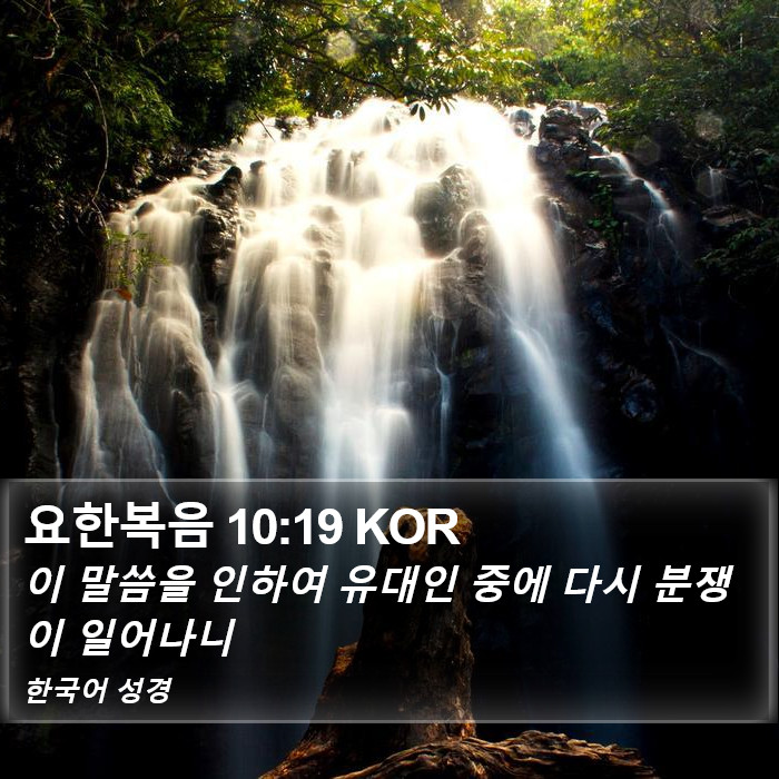 요한복음 10:19 KOR Bible Study