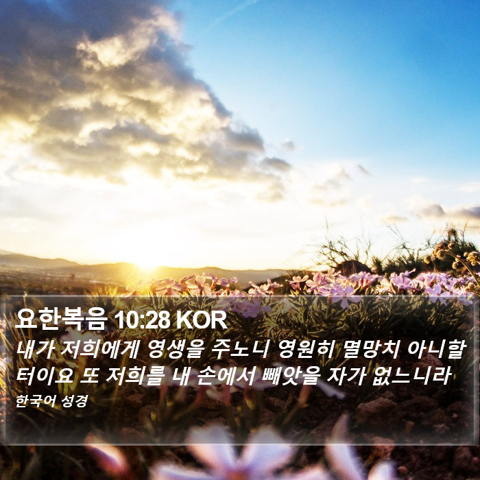 요한복음 10:28 KOR Bible Study