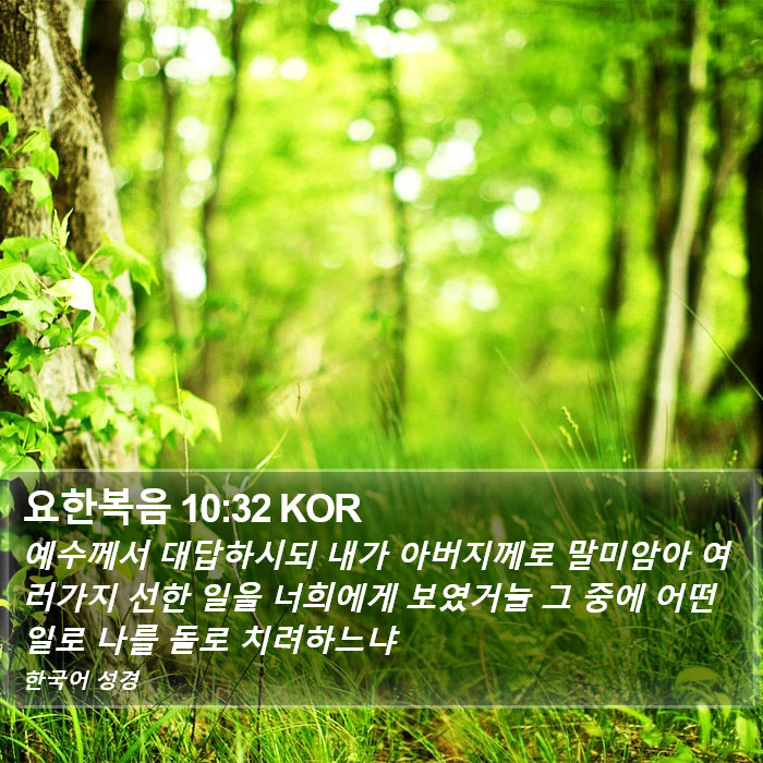 요한복음 10:32 KOR Bible Study