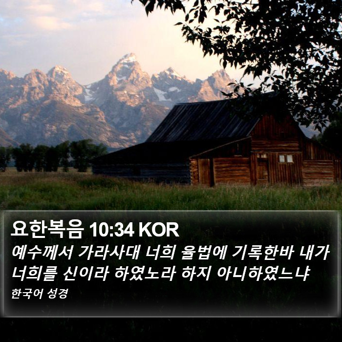 요한복음 10:34 KOR Bible Study