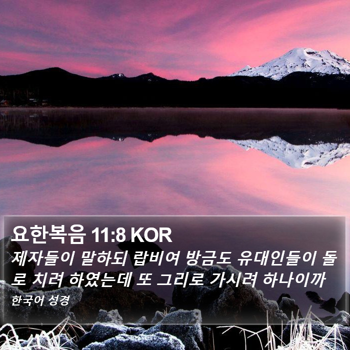 요한복음 11:8 KOR Bible Study