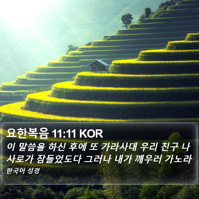 요한복음 11:11 KOR Bible Study
