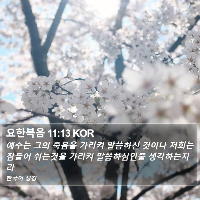 요한복음 11:13 KOR Bible Study