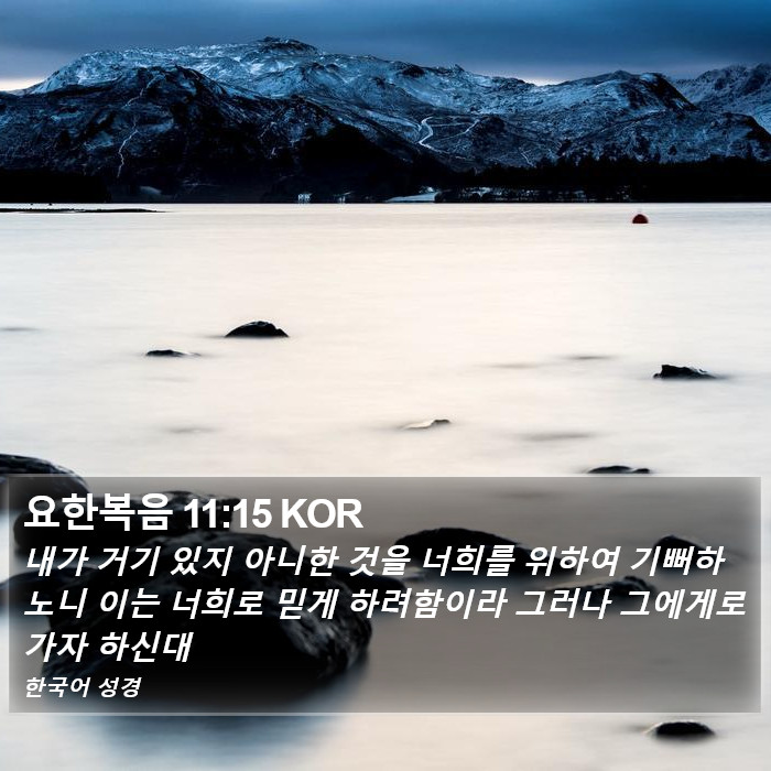 요한복음 11:15 KOR Bible Study