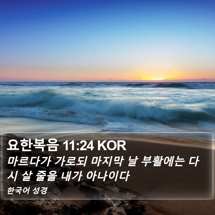 요한복음 11:24 KOR Bible Study