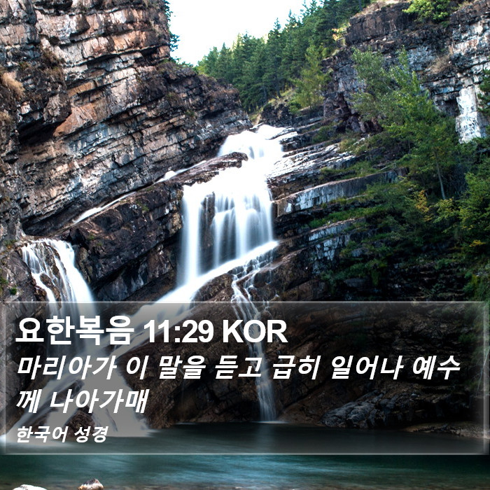 요한복음 11:29 KOR Bible Study