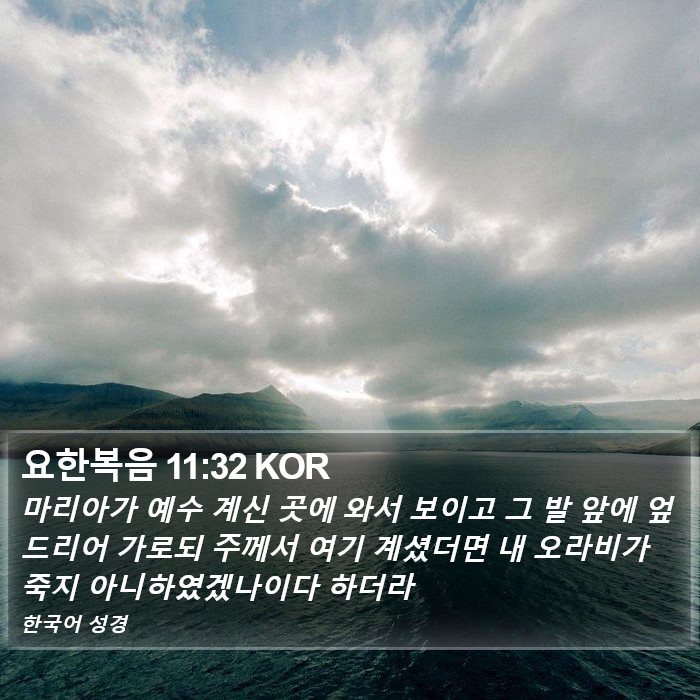 요한복음 11:32 KOR Bible Study