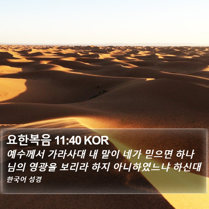 요한복음 11:40 KOR Bible Study