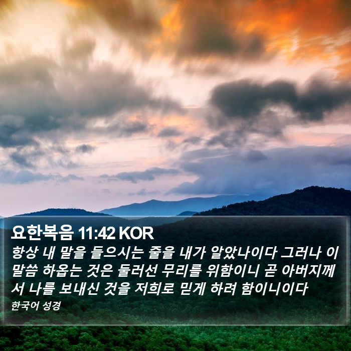 요한복음 11:42 KOR Bible Study
