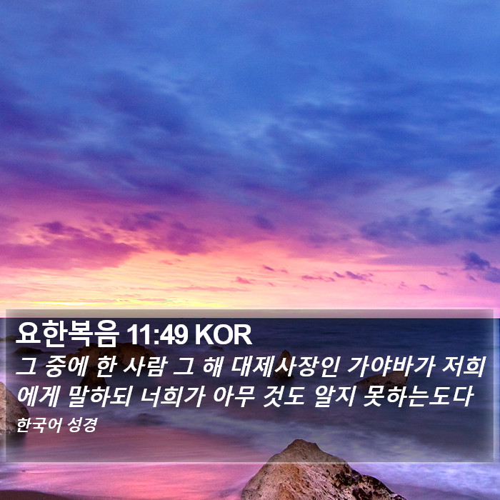 요한복음 11:49 KOR Bible Study