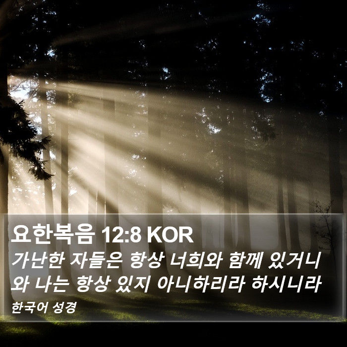 요한복음 12:8 KOR Bible Study