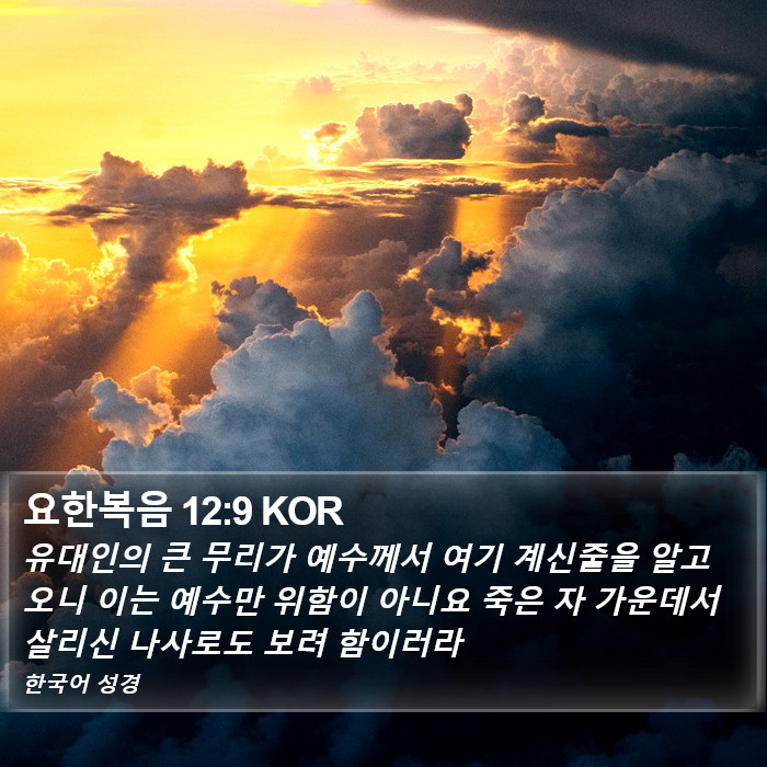 요한복음 12:9 KOR Bible Study