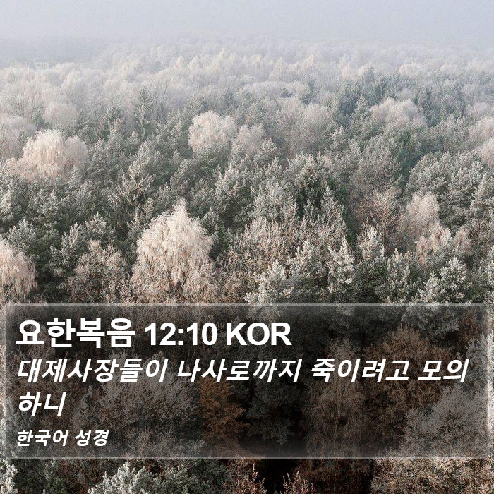 요한복음 12:10 KOR Bible Study