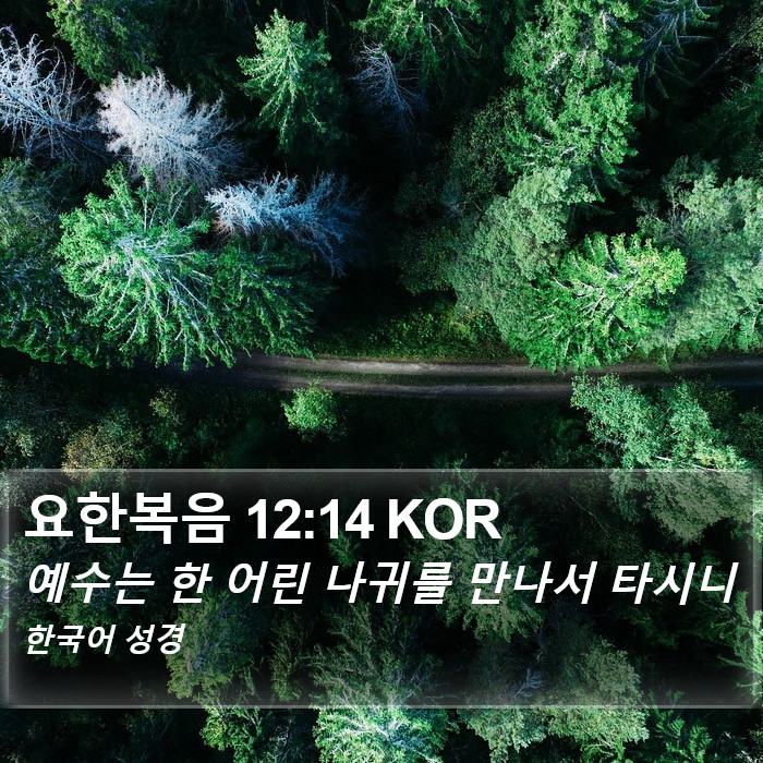 요한복음 12:14 KOR Bible Study