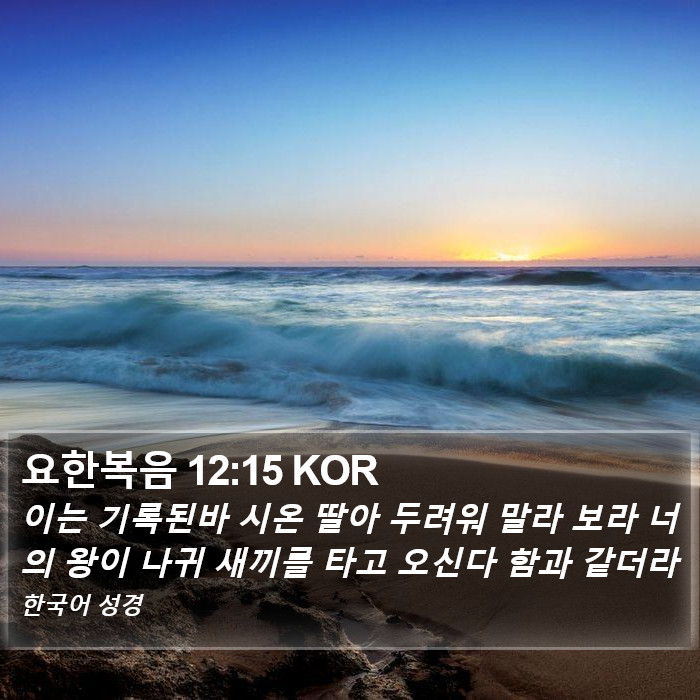 요한복음 12:15 KOR Bible Study