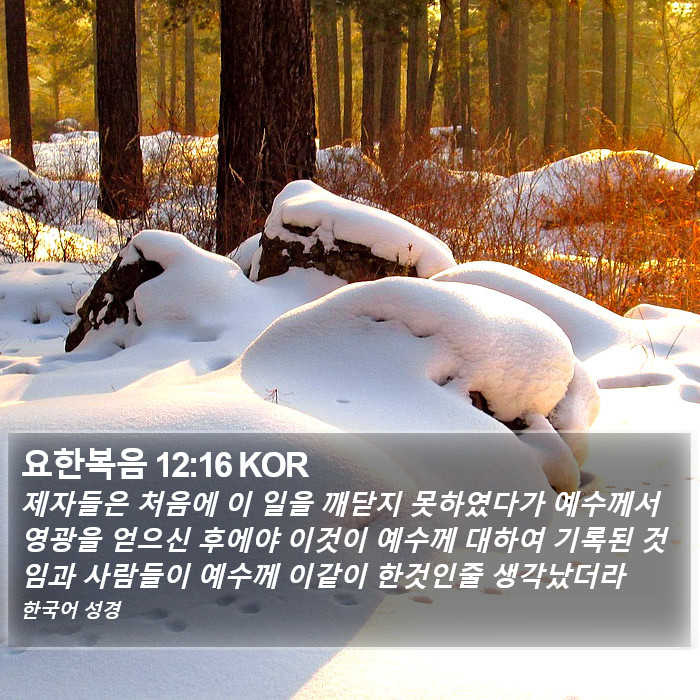 요한복음 12:16 KOR Bible Study
