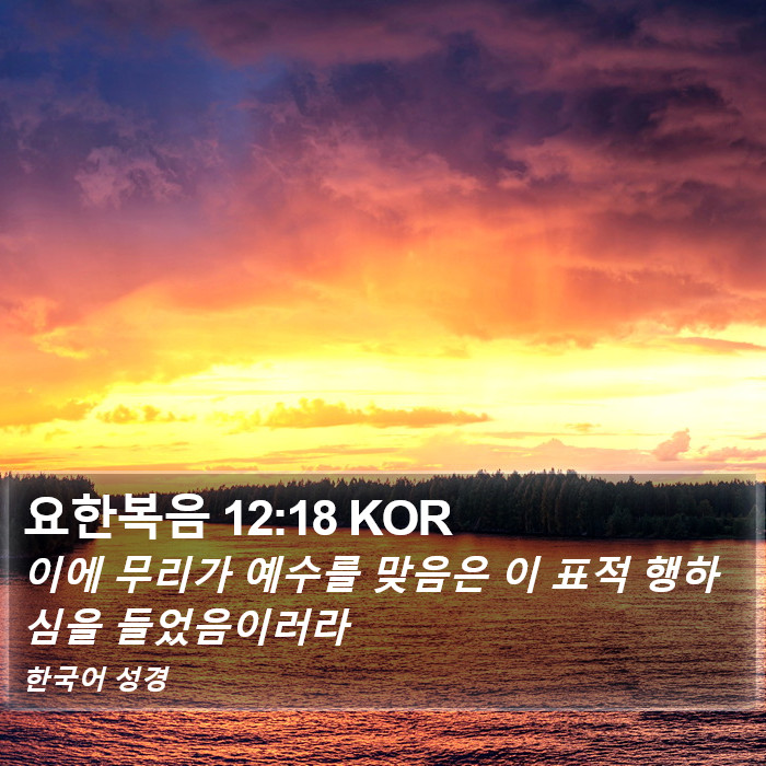 요한복음 12:18 KOR Bible Study