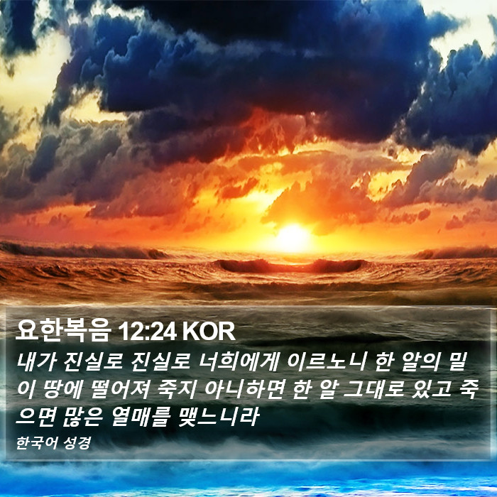 요한복음 12:24 KOR Bible Study