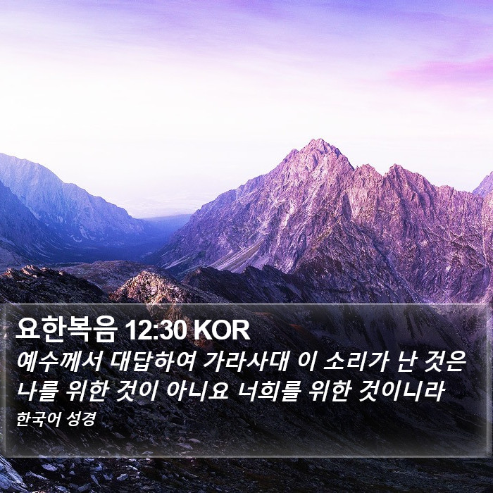 요한복음 12:30 KOR Bible Study