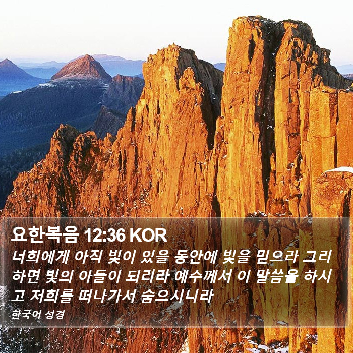요한복음 12:36 KOR Bible Study