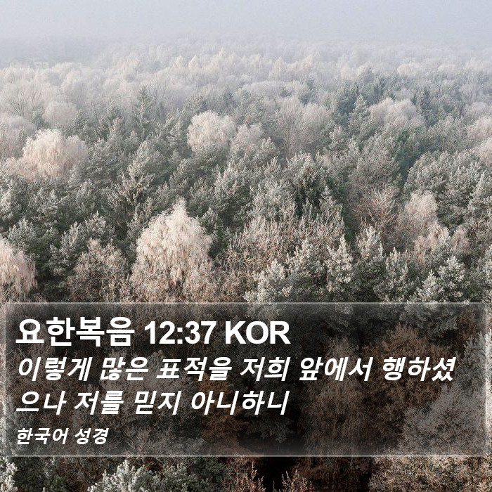 요한복음 12:37 KOR Bible Study