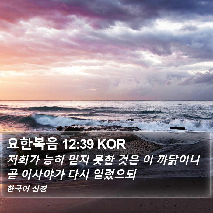 요한복음 12:39 KOR Bible Study