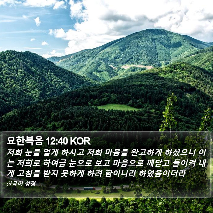 요한복음 12:40 KOR Bible Study