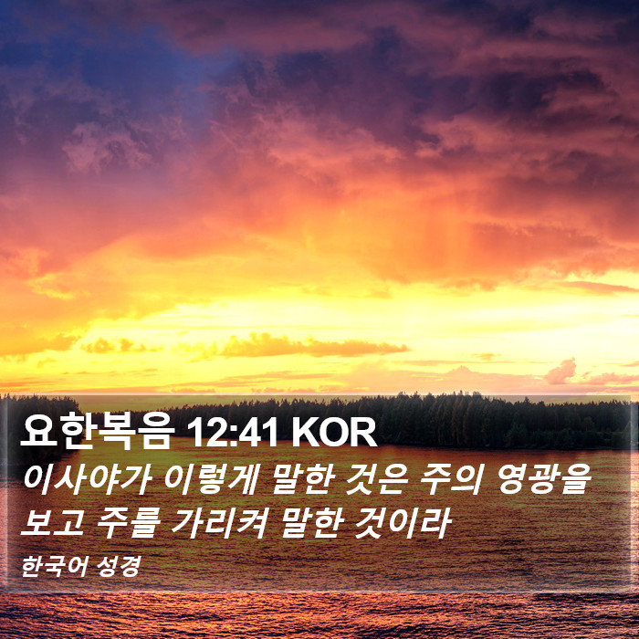 요한복음 12:41 KOR Bible Study
