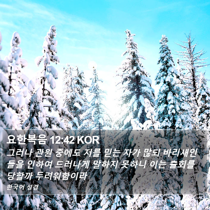 요한복음 12:42 KOR Bible Study