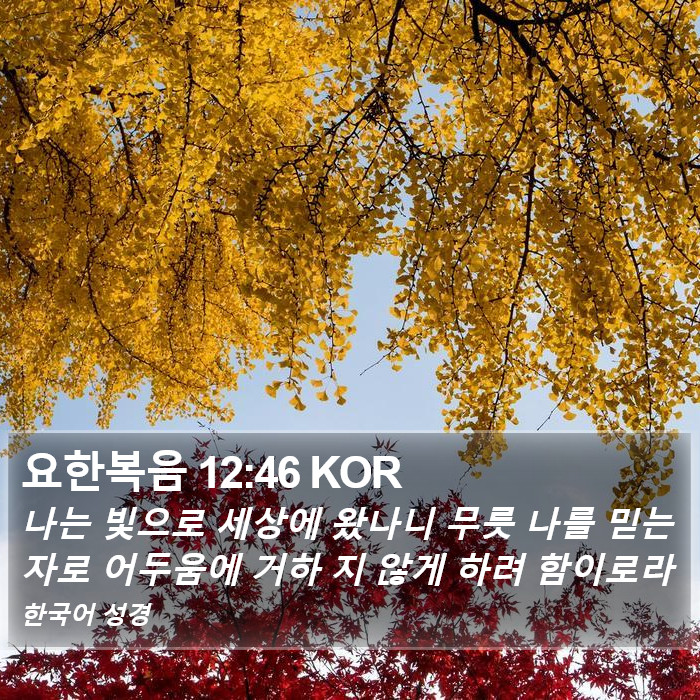 요한복음 12:46 KOR Bible Study