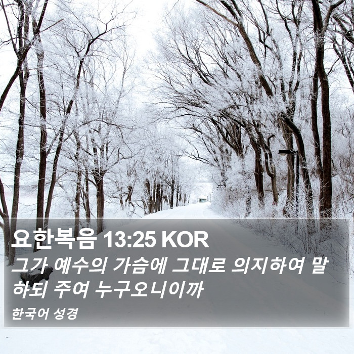 요한복음 13:25 KOR Bible Study