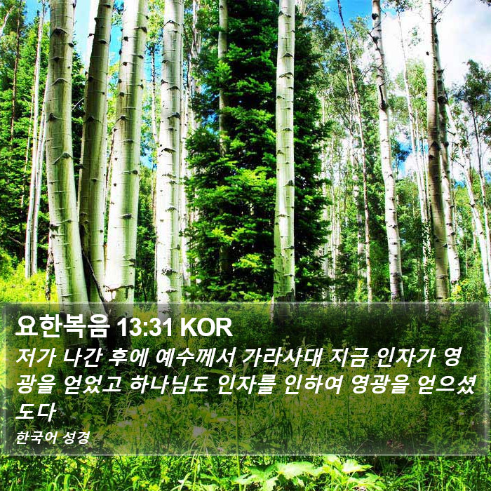 요한복음 13:31 KOR Bible Study