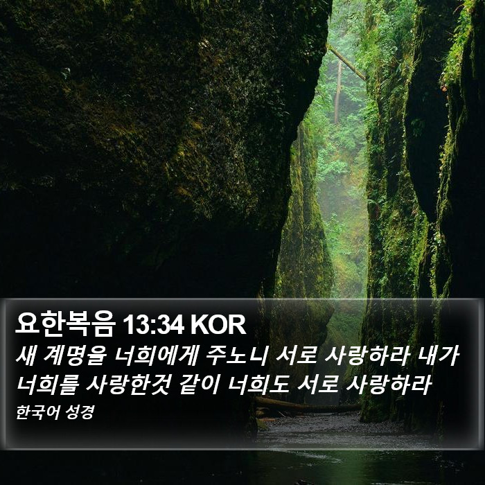 요한복음 13:34 KOR Bible Study