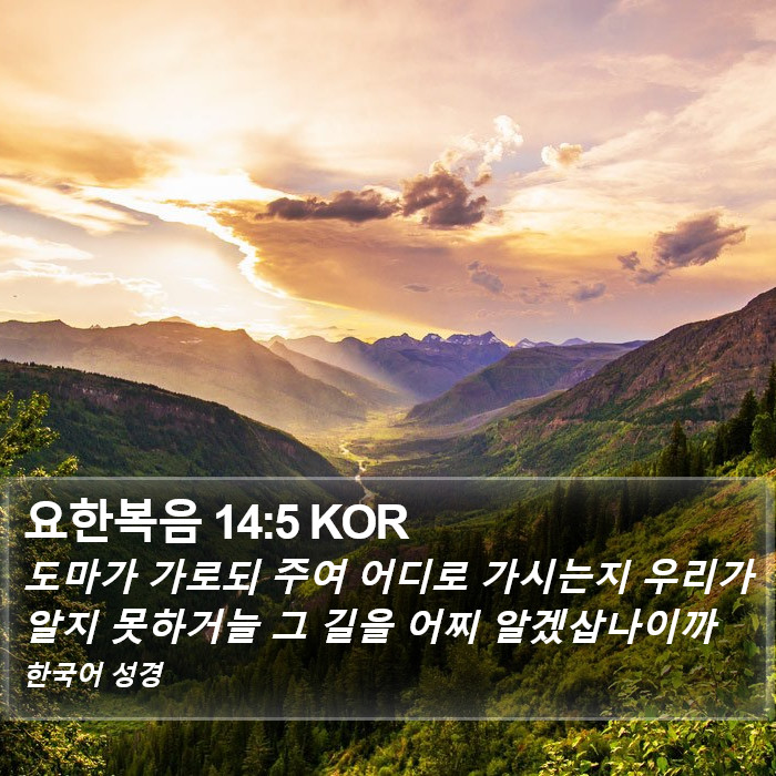 요한복음 14:5 KOR Bible Study