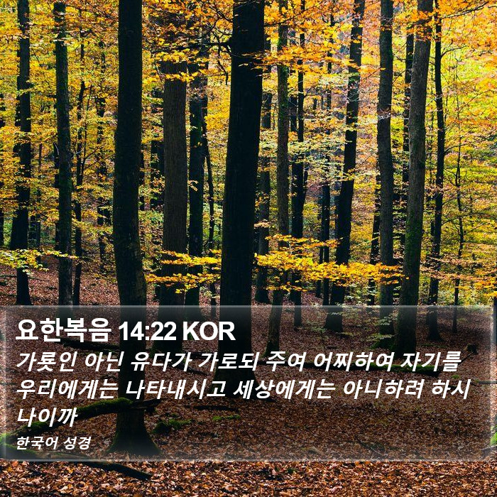 요한복음 14:22 KOR Bible Study