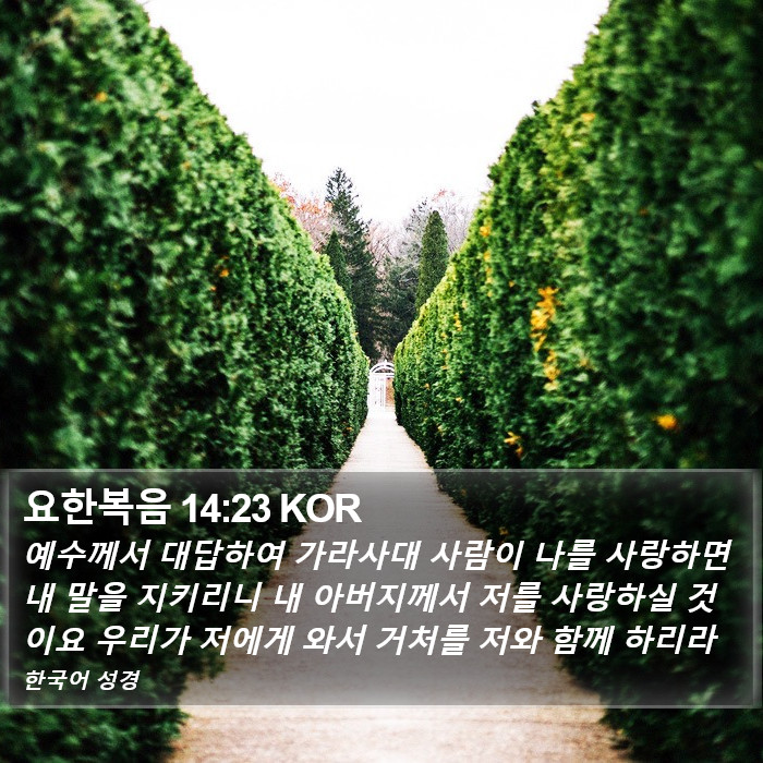 요한복음 14:23 KOR Bible Study